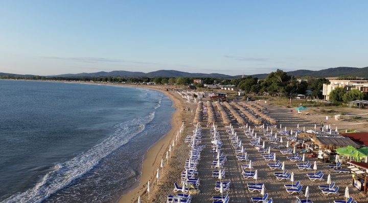 Подходящи плажове в България за кучета: къде да заведете любимеца си на море