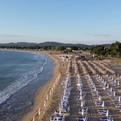 Подходящи плажове в България за кучета: къде да заведете любимеца си на море