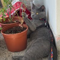 Каспър