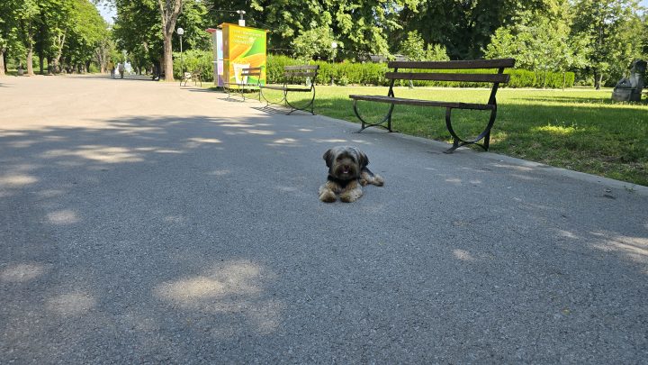 Снимка към публикацията