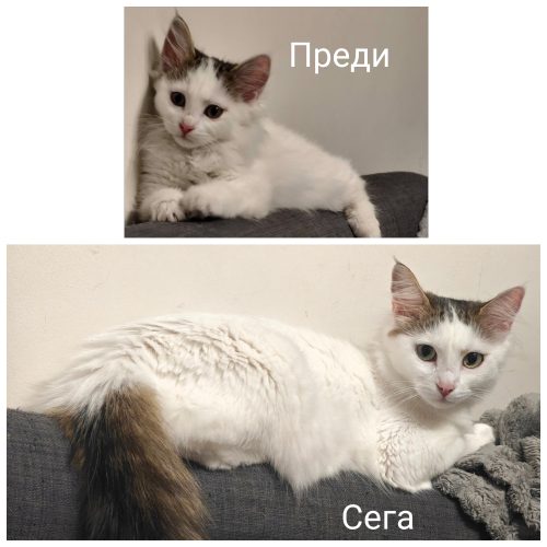 Снимка към публикацията