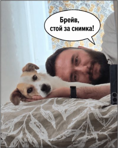 Снимка към публикацията