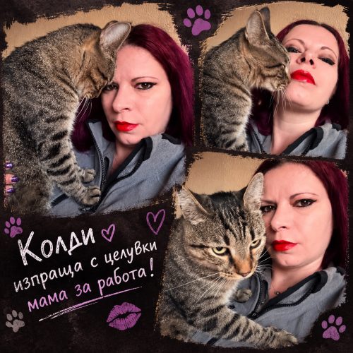 Снимка към публикацията